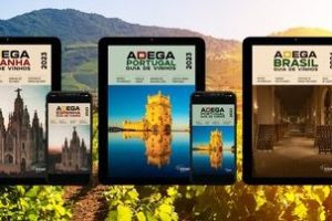 Adega em Angra dos Reis, Brasil: Guia Completo das Melhores Vinícolas e Dicas de Degustação