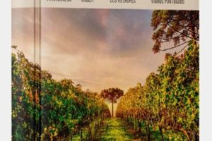 Adega em Ubatuba, Brasil: Guia Completo das Melhores Adegas e Vinhos