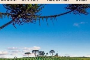 Guia Completo: Adega em Parnaíba, Brasil – Melhores Endereços, Vinhos e Dicas 2025